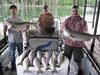(05/31/2018) - Nice Striped Bass